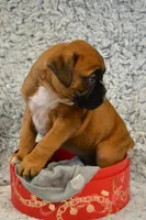 processed/93de2164-ded0-40a4-9683-ec75692d3fc1/listing/b47c4ad7-abdb-487b-97e5-9e4fa78fa292/7450e22d-db62-47ed-8ef6-f851b4ab4352