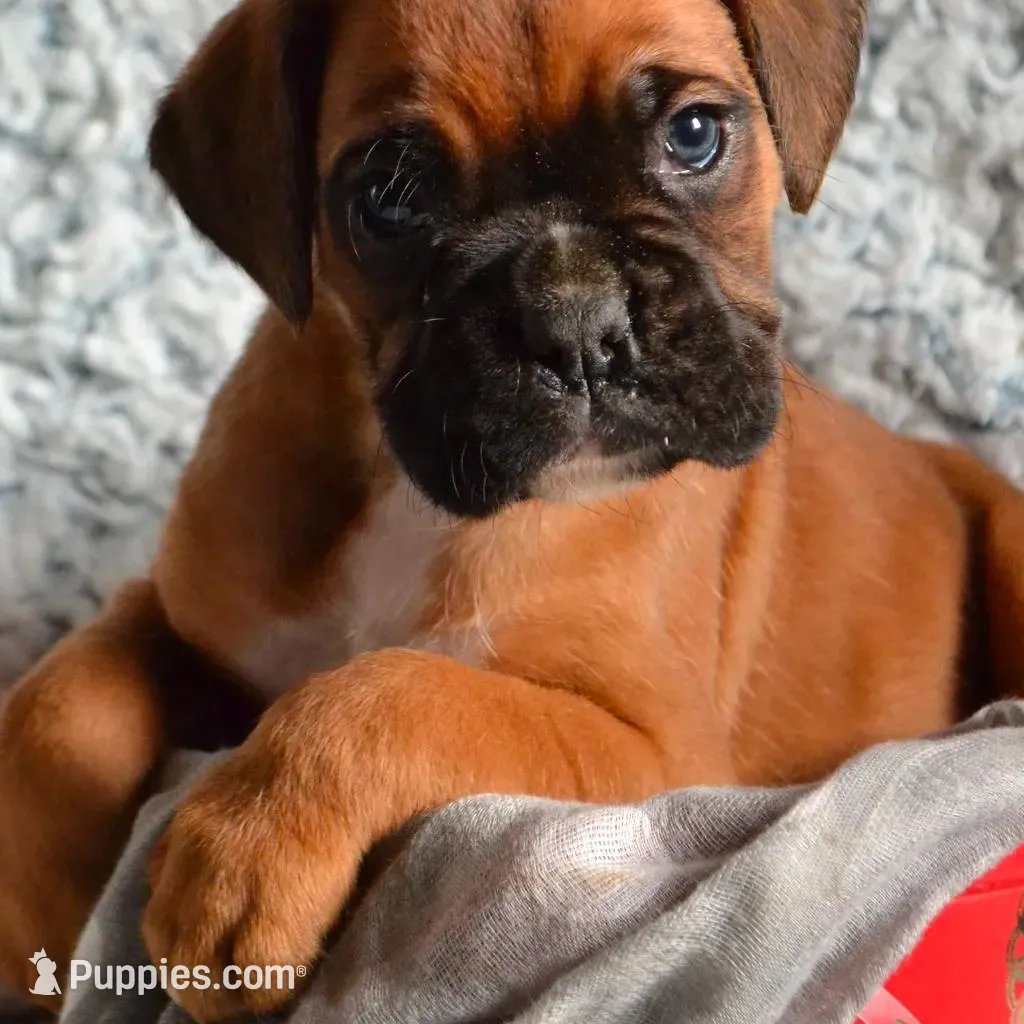 processed/93de2164-ded0-40a4-9683-ec75692d3fc1/listing/dbeae81e-9b26-4508-8358-2307d94d4b5d/b7597c81-8e36-4e4e-b235-6483222b7a32