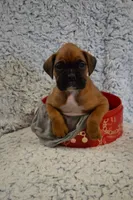 processed/93de2164-ded0-40a4-9683-ec75692d3fc1/listing/dbeae81e-9b26-4508-8358-2307d94d4b5d/e00c7cdc-8e1f-4421-9172-19d892be6a5e