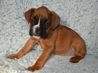 processed/93de2164-ded0-40a4-9683-ec75692d3fc1/listing/f82c6220-6c0d-414c-9825-7f68aad38797/0fc7a200-f6e9-4a43-8736-9e114acab0b5