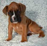 processed/93de2164-ded0-40a4-9683-ec75692d3fc1/listing/f82c6220-6c0d-414c-9825-7f68aad38797/c901d6b2-4182-499e-8982-9d0812220a8c