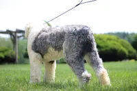 processed/93ee36e4-47ce-4a09-91af-1f8c54440da7/listing/1d6e2028-5c14-4ed3-87bb-e6a265149de4/28577541-ad7c-4d4d-a537-f7152ffde9f6