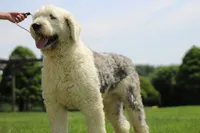 processed/93ee36e4-47ce-4a09-91af-1f8c54440da7/listing/1d6e2028-5c14-4ed3-87bb-e6a265149de4/b54b09ca-9ceb-4e2d-8f7f-a7f0a72bc240