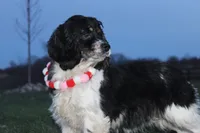 processed/93ee36e4-47ce-4a09-91af-1f8c54440da7/listing/2c3cc5e3-ced8-4a84-b8e4-0c631cc49c59/62247a0f-1c32-4d89-8774-8154a0dd15b7