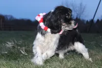 processed/93ee36e4-47ce-4a09-91af-1f8c54440da7/listing/2c3cc5e3-ced8-4a84-b8e4-0c631cc49c59/b4a19728-e457-435e-9620-45c72fda323c