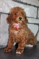 processed/93ee36e4-47ce-4a09-91af-1f8c54440da7/listing/7b06cce6-c8ae-41e3-90e6-523a61895a92/085cfeaa-d61f-4190-9934-ecda396733f1