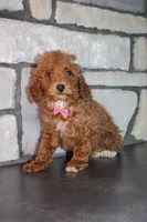 processed/93ee36e4-47ce-4a09-91af-1f8c54440da7/listing/7b06cce6-c8ae-41e3-90e6-523a61895a92/441c5afb-34f6-479e-ade5-644cddd265e6