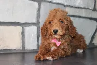 processed/93ee36e4-47ce-4a09-91af-1f8c54440da7/listing/7b06cce6-c8ae-41e3-90e6-523a61895a92/5c033894-17ae-4f0c-9dd6-939bc8595076