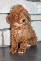 processed/93ee36e4-47ce-4a09-91af-1f8c54440da7/listing/7b06cce6-c8ae-41e3-90e6-523a61895a92/89adad56-caf9-4298-a6bc-efafb3572c03