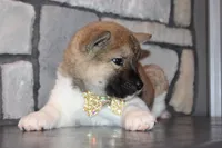 processed/93ee36e4-47ce-4a09-91af-1f8c54440da7/listing/b542da60-1017-4ed4-beb3-f6fb777b7ab8/8b9e0f0d-cb5d-4dba-803e-cbfeb3fb0bed