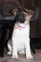 processed/93ee36e4-47ce-4a09-91af-1f8c54440da7/listing/ee4fd394-d18f-4e7d-973e-e69acd4d0d60/2c0fda05-d953-473a-b3ef-457fb39b3575