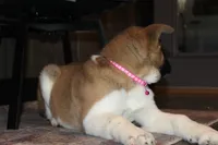 processed/93ee36e4-47ce-4a09-91af-1f8c54440da7/listing/ee4fd394-d18f-4e7d-973e-e69acd4d0d60/40413552-4e7b-40ec-949c-c725ac04d9e2