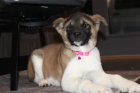 processed/93ee36e4-47ce-4a09-91af-1f8c54440da7/listing/ee4fd394-d18f-4e7d-973e-e69acd4d0d60/5ac12d26-d947-4f4f-95a1-2dabc93cf8b4