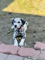 processed/93f3ae29-52d6-4a3c-bc9e-0cdd924623ad/listing/2766d9e6-8d65-4b55-8565-353519b72c0e/0955252f-ec50-4e5f-bffb-92d709528d0c