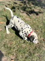 processed/93f3ae29-52d6-4a3c-bc9e-0cdd924623ad/listing/2766d9e6-8d65-4b55-8565-353519b72c0e/0a0f6b22-c7fe-4ae1-9313-7720e1a5de72