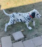 processed/93f3ae29-52d6-4a3c-bc9e-0cdd924623ad/listing/2766d9e6-8d65-4b55-8565-353519b72c0e/3f4bebc4-9a5a-4686-9d43-89c614622028