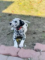 processed/93f3ae29-52d6-4a3c-bc9e-0cdd924623ad/listing/2766d9e6-8d65-4b55-8565-353519b72c0e/98b2b3d3-0acc-45f5-947b-1dfca5d5c4cb