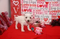 processed/93f804b5-c3cb-43e1-b28c-835a4b40b92e/listing/2c271d0b-2631-4c33-a856-71565d2547aa/31e463b2-4ba8-4bbe-bed0-2ecc7879fde7