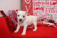 processed/93f804b5-c3cb-43e1-b28c-835a4b40b92e/listing/2c271d0b-2631-4c33-a856-71565d2547aa/3a0c6b23-28b4-4975-abed-5d453b5d49c7