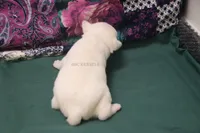 processed/93f804b5-c3cb-43e1-b28c-835a4b40b92e/listing/2c271d0b-2631-4c33-a856-71565d2547aa/43e84067-c388-4bd5-908b-a5b698c2e0b8