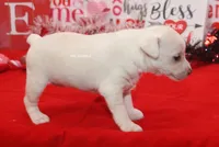 processed/93f804b5-c3cb-43e1-b28c-835a4b40b92e/listing/2c271d0b-2631-4c33-a856-71565d2547aa/a822febb-6f01-4498-b538-7a796fccca05