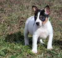 processed/93f804b5-c3cb-43e1-b28c-835a4b40b92e/listing/3cb6ddff-39c3-4d7c-8702-4e42aa98f7e9/7133f1d5-d4a2-4a38-9509-05a9f4d594a6