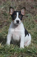 processed/93f804b5-c3cb-43e1-b28c-835a4b40b92e/listing/3cb6ddff-39c3-4d7c-8702-4e42aa98f7e9/948a55e8-6279-4492-a9ac-84dd2152e670