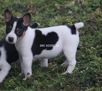 processed/93f804b5-c3cb-43e1-b28c-835a4b40b92e/listing/3cb6ddff-39c3-4d7c-8702-4e42aa98f7e9/c5e2be61-85ab-4e42-ae34-6c5de68e74a8