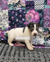 processed/93f804b5-c3cb-43e1-b28c-835a4b40b92e/listing/3cb6ddff-39c3-4d7c-8702-4e42aa98f7e9/faaa6584-7698-479d-bf89-f816154f89f2