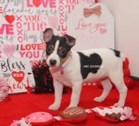 processed/93f804b5-c3cb-43e1-b28c-835a4b40b92e/listing/3cb6ddff-39c3-4d7c-8702-4e42aa98f7e9/fe4988a3-9f30-4873-b127-8c6363fc2881