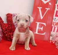 processed/93f804b5-c3cb-43e1-b28c-835a4b40b92e/listing/71705523-7298-4ead-b030-c1640c0f161e/42813acc-e779-42a7-a11b-6b836588dab9