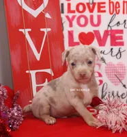 processed/93f804b5-c3cb-43e1-b28c-835a4b40b92e/listing/71705523-7298-4ead-b030-c1640c0f161e/7d1ff98b-becc-4cb4-b651-e54148f62cfb