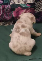 processed/93f804b5-c3cb-43e1-b28c-835a4b40b92e/listing/71705523-7298-4ead-b030-c1640c0f161e/85f8e30c-dc96-473d-abc2-0a599bfce13b