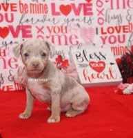 processed/93f804b5-c3cb-43e1-b28c-835a4b40b92e/listing/71705523-7298-4ead-b030-c1640c0f161e/eb693291-b7ed-4f84-87e5-a6f87bf1c318