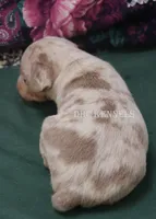 processed/93f804b5-c3cb-43e1-b28c-835a4b40b92e/listing/9fa621d3-211c-4391-870e-d63a4268396e/7a00f796-51da-467a-9bca-82c0718d3d41