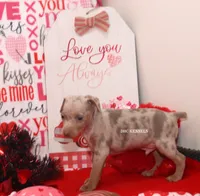 processed/93f804b5-c3cb-43e1-b28c-835a4b40b92e/listing/9fa621d3-211c-4391-870e-d63a4268396e/b3116703-6ce8-49e4-8a68-a258f523ab8c