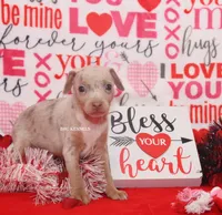 processed/93f804b5-c3cb-43e1-b28c-835a4b40b92e/listing/9fa621d3-211c-4391-870e-d63a4268396e/cbd69854-63a9-4d12-917b-08bfb8f94e46