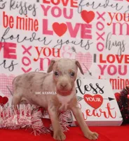 processed/93f804b5-c3cb-43e1-b28c-835a4b40b92e/listing/9fa621d3-211c-4391-870e-d63a4268396e/e30453ab-c474-42c7-9ae5-945a13c854d3