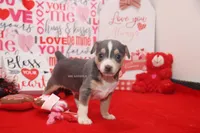 processed/93f804b5-c3cb-43e1-b28c-835a4b40b92e/listing/cd3a51f3-79fd-46fa-8c53-7bb0eda5ad43/027fa0e5-be0e-4050-8843-e078bb4b54e8