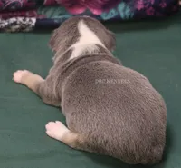 processed/93f804b5-c3cb-43e1-b28c-835a4b40b92e/listing/cd3a51f3-79fd-46fa-8c53-7bb0eda5ad43/77fa9887-8b2f-4f9f-b936-7e2c8155a5ed