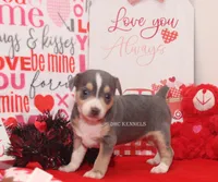 processed/93f804b5-c3cb-43e1-b28c-835a4b40b92e/listing/cd3a51f3-79fd-46fa-8c53-7bb0eda5ad43/9d1791c3-9d76-4fc5-bb9b-f150396c0b62