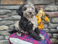 processed/93feeb3f-dd0e-453d-a888-881d3306fab7/listing/617fa53d-7115-40a1-b14c-14f573db35e8/30848487-d0c9-437b-a657-a357deadd8d2