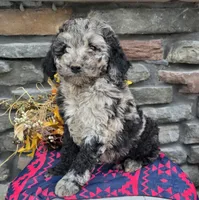 processed/93feeb3f-dd0e-453d-a888-881d3306fab7/listing/617fa53d-7115-40a1-b14c-14f573db35e8/72dc6a4c-83c0-4d40-ac44-332389ad5e85