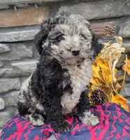 processed/93feeb3f-dd0e-453d-a888-881d3306fab7/listing/617fa53d-7115-40a1-b14c-14f573db35e8/9cba6da0-e4fd-4a97-91ae-6cc232fb80d0