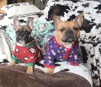 processed/9401a7cc-2dd2-43bc-bd3e-525ea781a52d/facility/365939d8-c950-439c-a318-d3767e6adc68