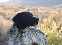 processed/9401a7cc-2dd2-43bc-bd3e-525ea781a52d/facility/84a81969-2a82-4e79-83a1-901063778fdf