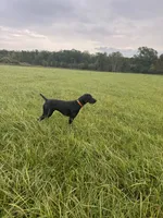 processed/9401a7cc-2dd2-43bc-bd3e-525ea781a52d/listing/1a1cb8a2-5b1b-4f4c-a5b7-1f6b29c975d6/5911980d-a1fd-4ad5-bc8b-0cda344a1b3c