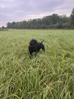 processed/9401a7cc-2dd2-43bc-bd3e-525ea781a52d/listing/1a1cb8a2-5b1b-4f4c-a5b7-1f6b29c975d6/76cc9aed-2ae3-4ca9-82bb-dea74849441f