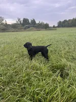 processed/9401a7cc-2dd2-43bc-bd3e-525ea781a52d/listing/1a1cb8a2-5b1b-4f4c-a5b7-1f6b29c975d6/ac6533d3-ee9a-4590-9a5d-9be1d21cec2c