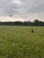 processed/9401a7cc-2dd2-43bc-bd3e-525ea781a52d/listing/1a1cb8a2-5b1b-4f4c-a5b7-1f6b29c975d6/efbab03c-65c6-42da-aebe-8d950457cb9a